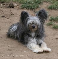 25_Mojito_Baccardi_2_Oct_2016